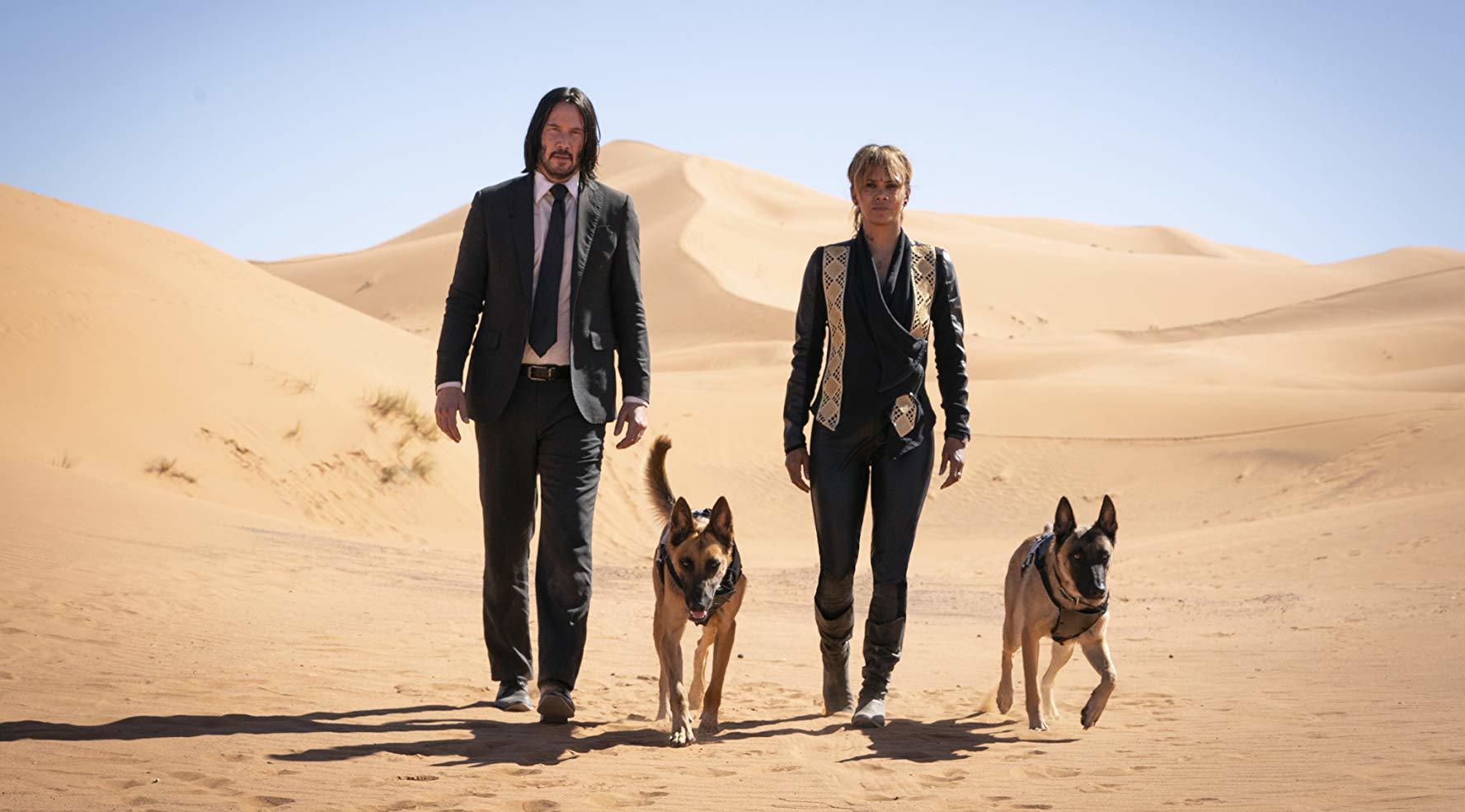 Director Discusses the Potential for a John Wick Sequel and Cross-Braning Opportunities